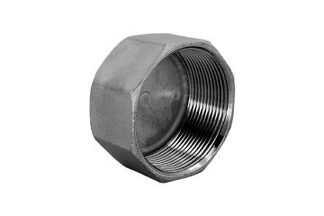 Заглушка В/Р 6-ти гранная нержавеющая, AISI304 DN32 (1_1/4"), (CF8), PN16