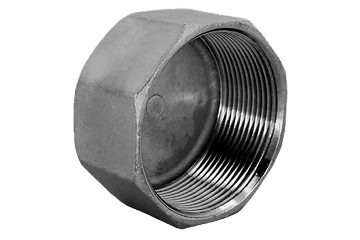 Заглушка В/Р 6-ти гранная нержавеющая, AISI304 DN50 (2"), (CF8), PN16